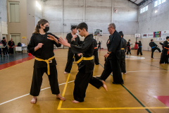 SUOB ION BI RYU