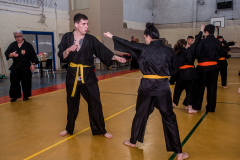 SUOB ION BI RYU