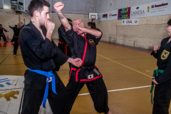 SUOB ION BI RYU