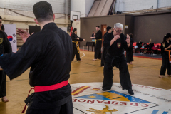 SUOB ION BI RYU
