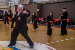 SUOB ION BI RYU