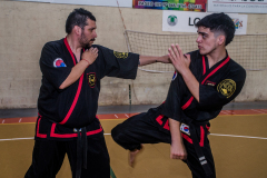 SUOB ION BI RYU