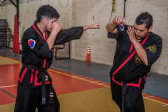 SUOB ION BI RYU