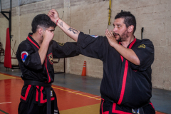 SUOB ION BI RYU