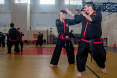 SUOB ION BI RYU