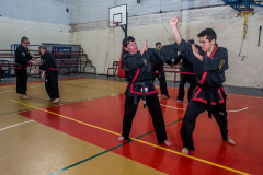 SUOB ION BI RYU