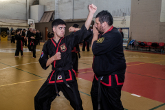 SUOB ION BI RYU