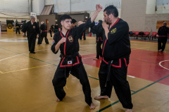 SUOB ION BI RYU