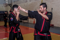 SUOB ION BI RYU