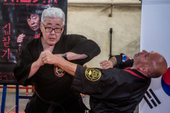 SUOB ION BI RYU