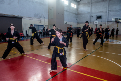 SUOB ION BI RYU