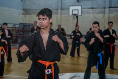 SUOB ION BI RYU