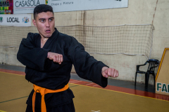 SUOB ION BI RYU