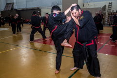 SUOB ION BI RYU