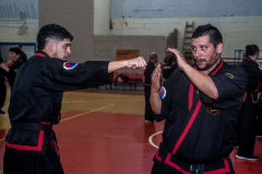 SUOB ION BI RYU