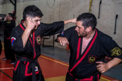 SUOB ION BI RYU