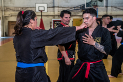 SUOB ION BI RYU
