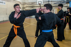 SUOB ION BI RYU
