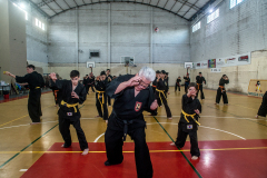 SUOB ION BI RYU