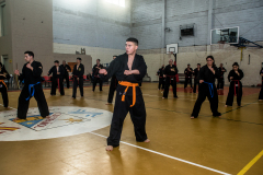 SUOB ION BI RYU