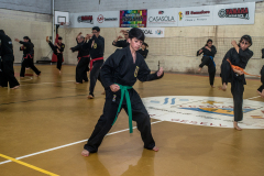 SUOB ION BI RYU