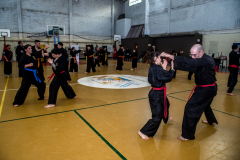 SUOB ION BI RYU
