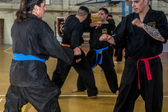 SUOB ION BI RYU