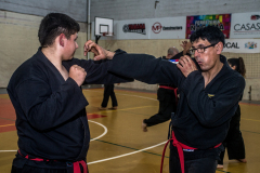 SUOB ION BI RYU