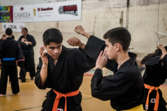 SUOB ION BI RYU