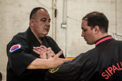 SUOB ION BI RYU