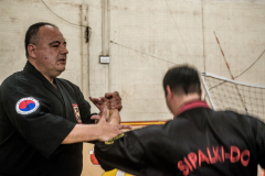 SUOB ION BI RYU