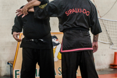 SUOB ION BI RYU