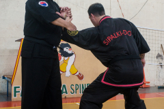 SUOB ION BI RYU