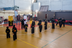 SUOB ION BI RYU