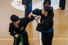 SUOB ION BI RYU