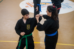 SUOB ION BI RYU
