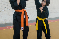 SUOB ION BI RYU
