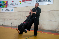 SUOB ION BI RYU