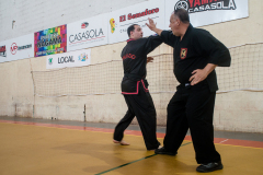 SUOB ION BI RYU