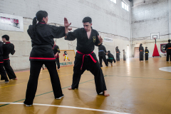 SUOB ION BI RYU