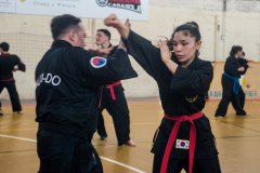 SUOB ION BI RYU