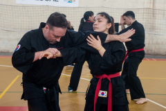 SUOB ION BI RYU
