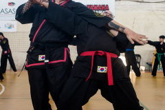 SUOB ION BI RYU