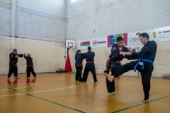 SUOB ION BI RYU