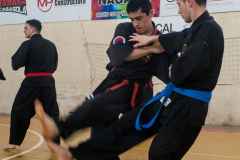 SUOB ION BI RYU