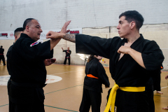 SUOB ION BI RYU