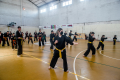 SUOB ION BI RYU