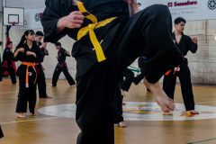 SUOB ION BI RYU