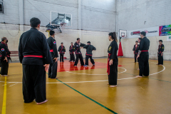 SUOB ION BI RYU