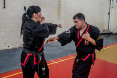 SUOB ION BI RYU